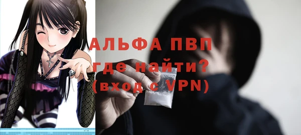 прущий лед Богданович