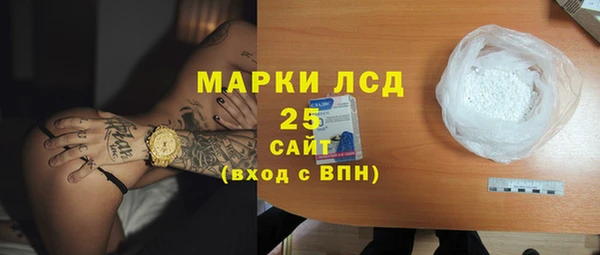 прущий лед Богданович