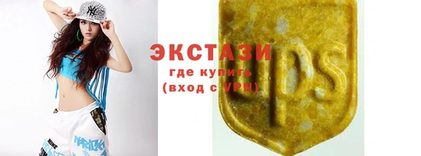 прущий лед Богданович