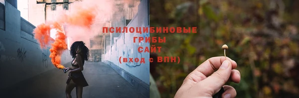 прущий лед Богданович