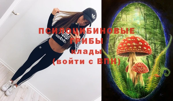 мефедрон Богородицк