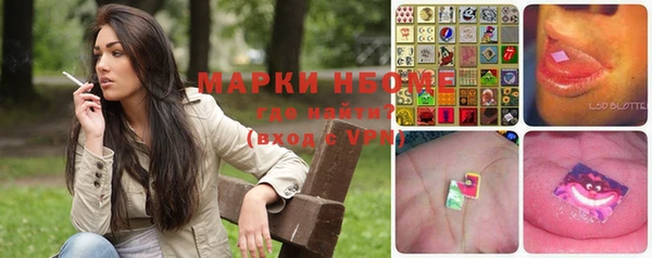 прущий лед Богданович
